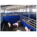 China low cost prefabricated light steel pig farm house construction shed